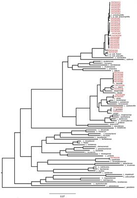 Genomic characterization and assessment of pathogenic potential of Legionella spp. isolates from environmental monitoring